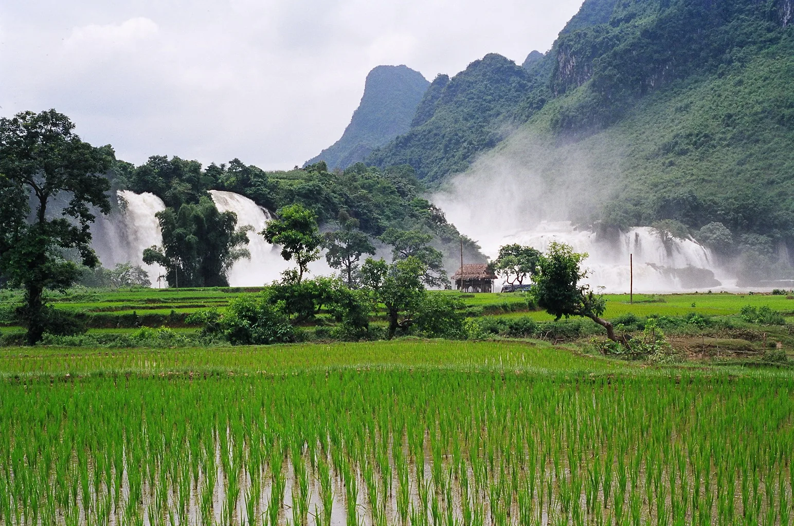 Ban Gioc Detian waterfall Vietnam China border