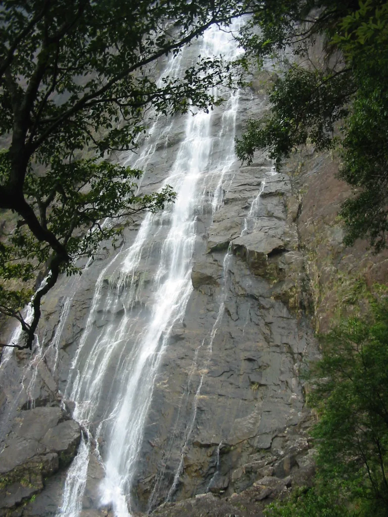 Misty cloud forest and waterfall at Bach Ma National Park near Hue, Vietnam