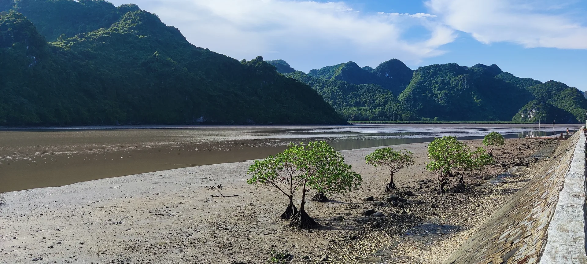 Cat Ba Island national park Vietnam — dense jungle-covered limestone hills dropping to the sea