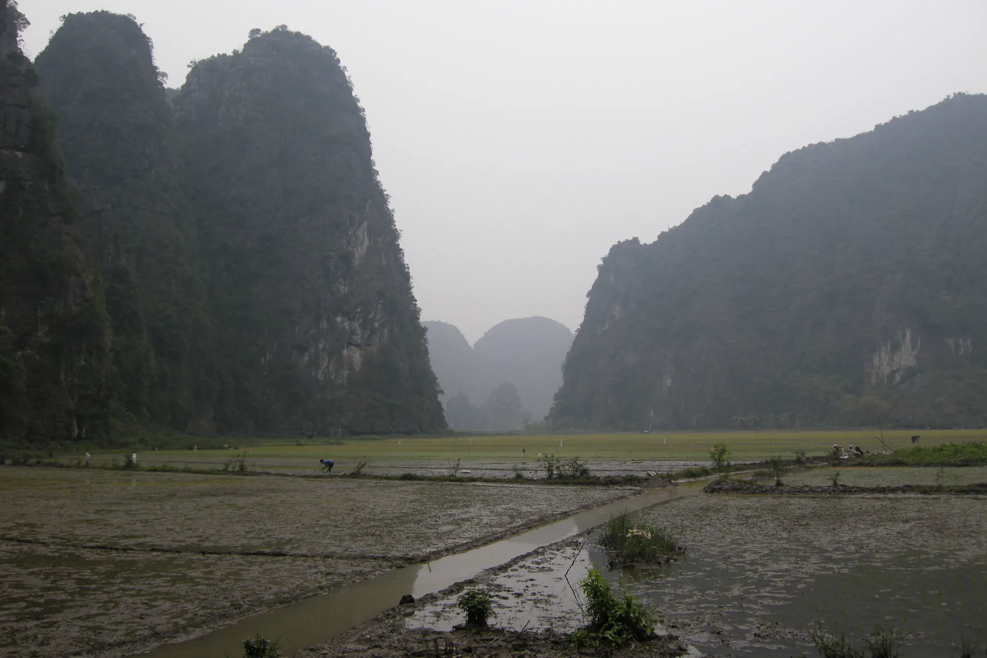 Ninh Bình Day Trip: Tam Cốc & Tràng An Boat Tour