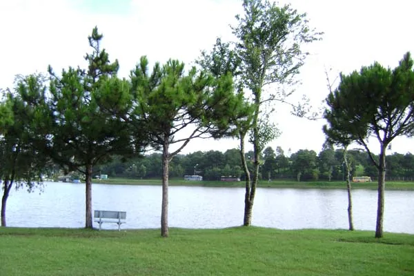 Xuan Huong Lake Da Lat Vietnam central park — the artificial lake at the heart of Da Lat was created by the French in 1919