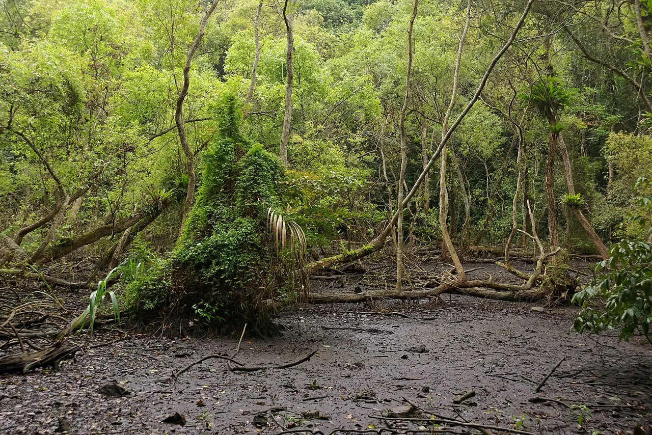 Ba Be Lake — Vietnam's largest natural freshwater lake set among limestone hills