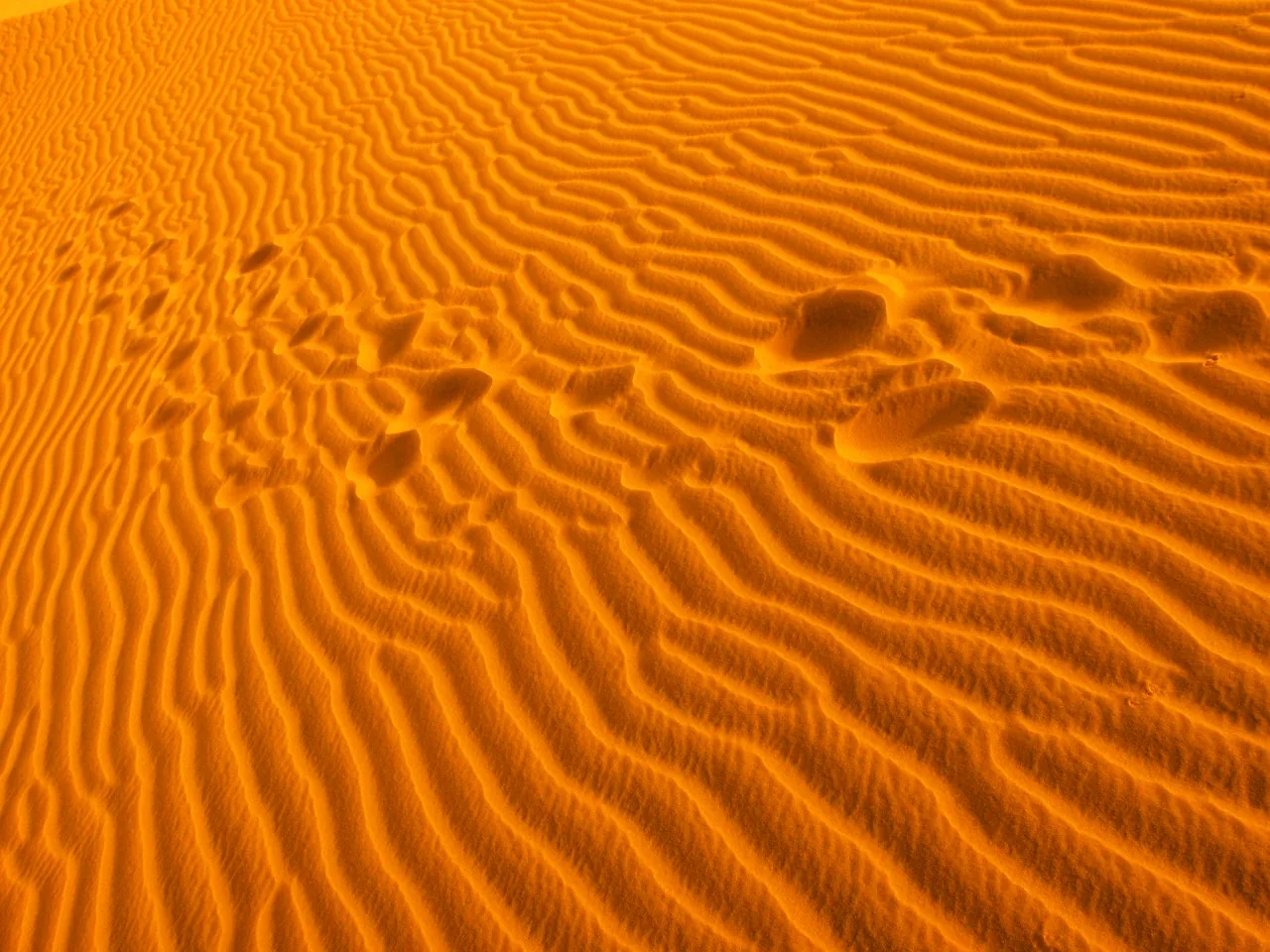 Mui Ne Vietnam red white sand dunes desert