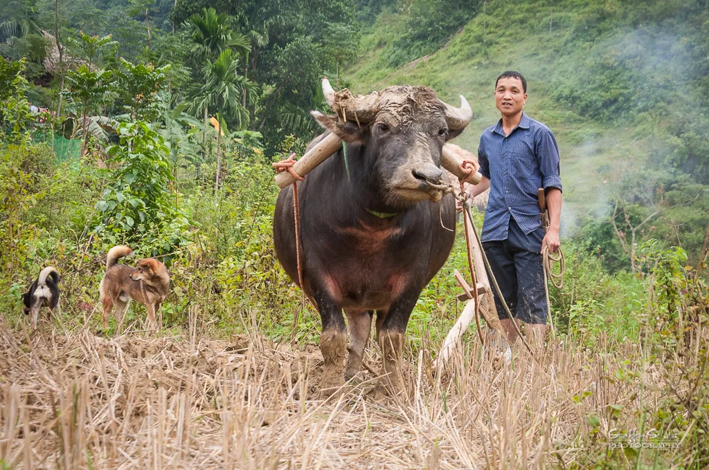 Pu Luong Vietnam nature reserve landscape