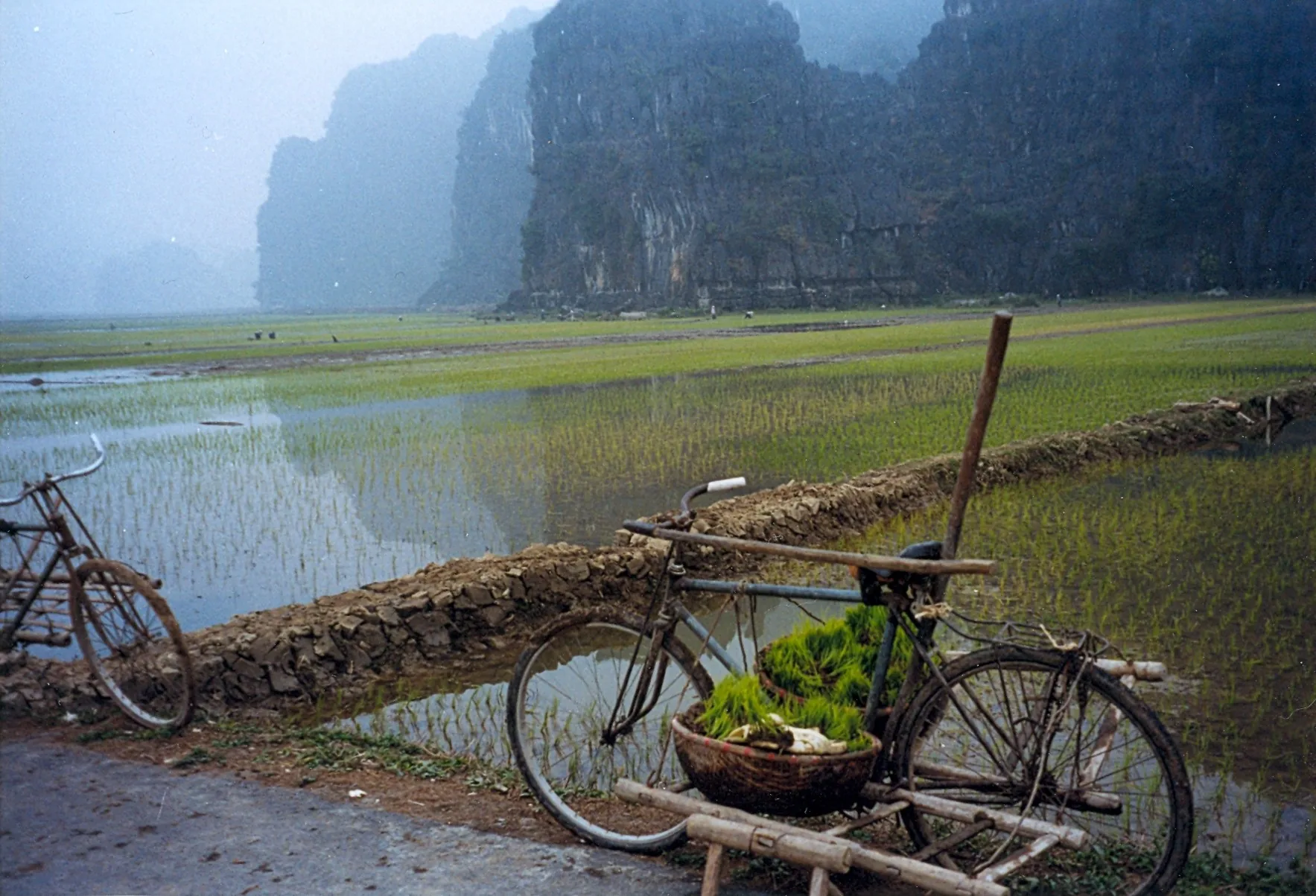 Ninh Bình Day Trip: Tam Cốc & Tràng An Boat Tour