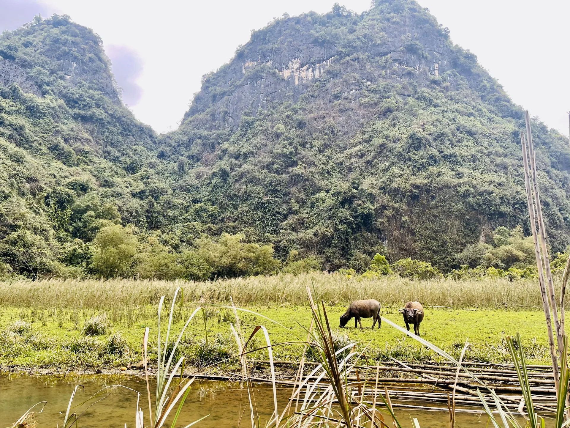 Best Time to Visit Vietnam: A Region-by-Region Weather Guide