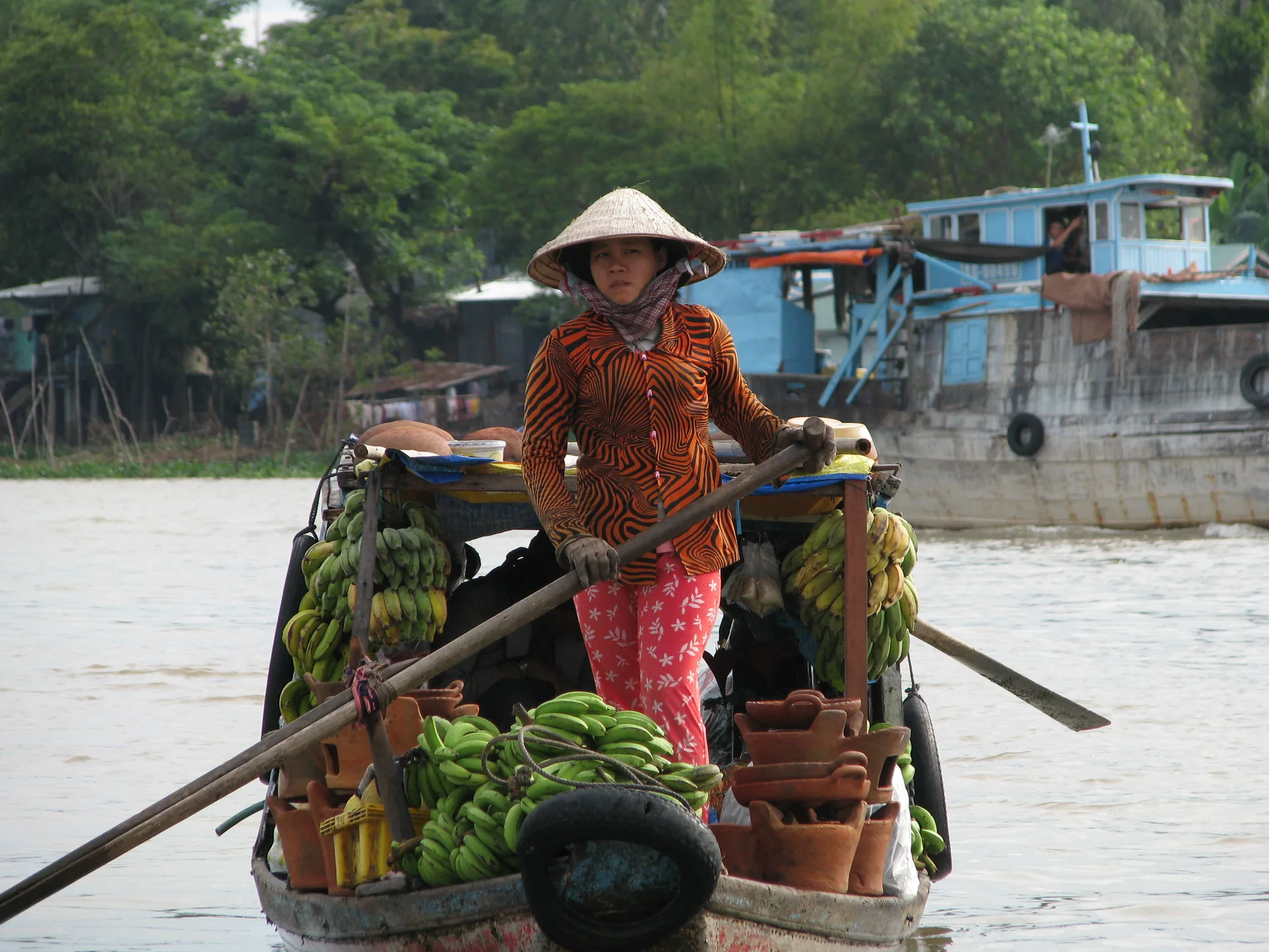 Mekong Delta Full-Day Trip from Ho Chi Minh City