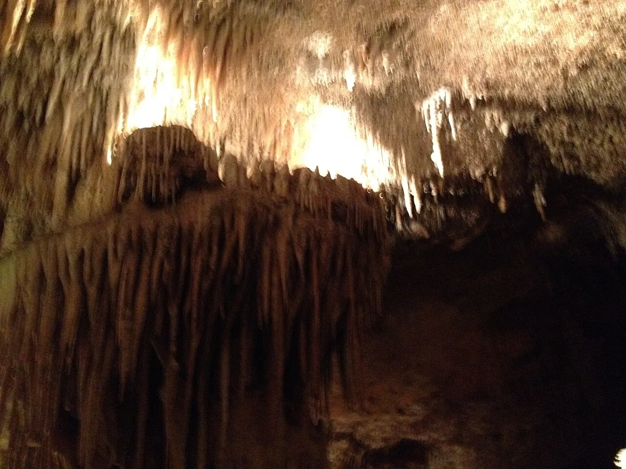 Thien Duong (Paradise) Cave