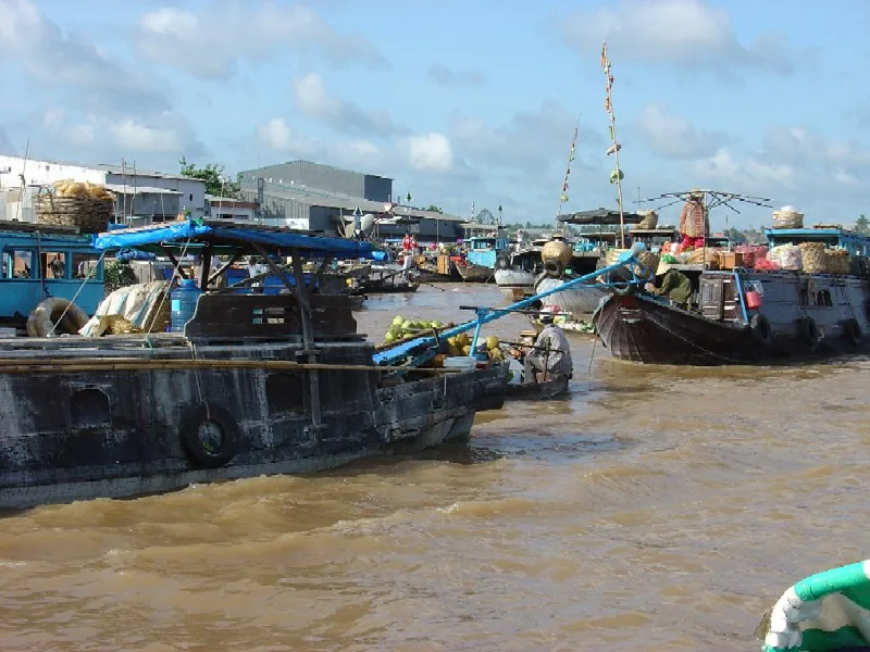Cai Rang floating market Vietnam Mekong Delta — boats piled with tropical fruit on a river at dawn