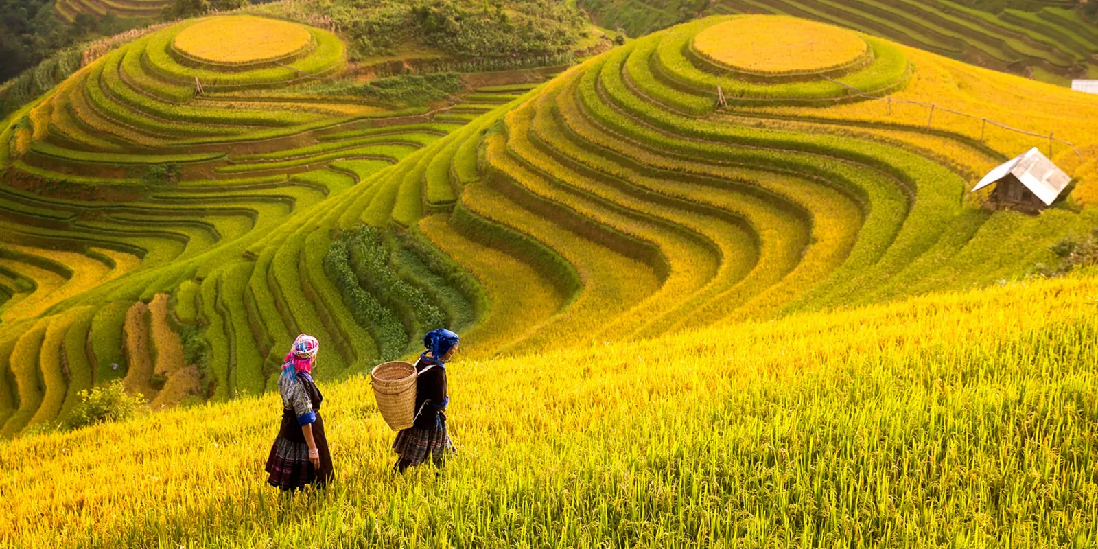 Sapa & the Northern Highlands