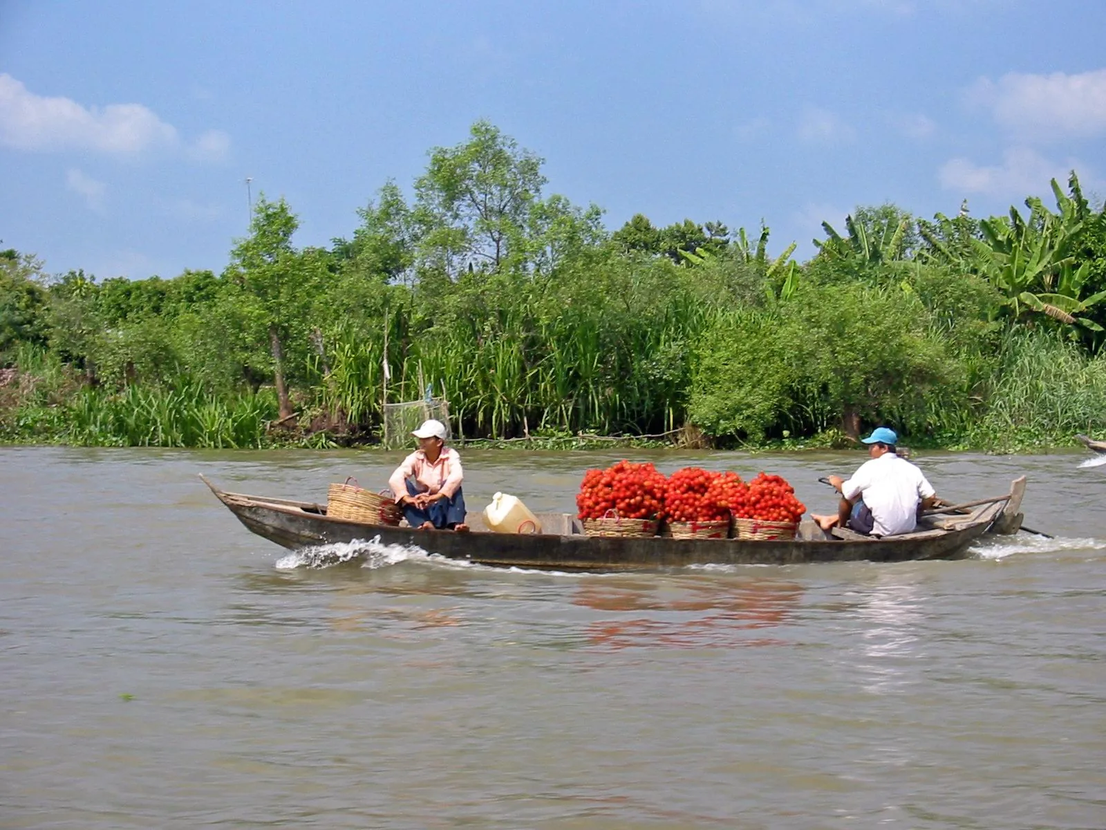 Đồng bằng sông Cửu Long mùa nước nổi — miền Nam Việt Nam ít bị ảnh hưởng thời tiết xấu hơn miền Bắc và Trung