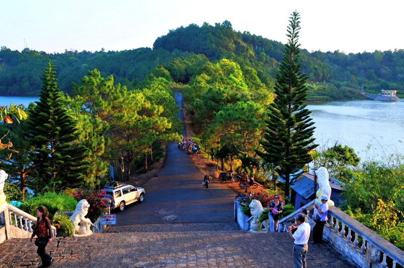 Vietnam Rubber Plantation