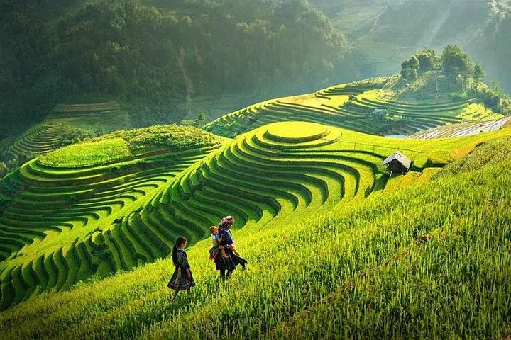 Cascading rice terraces in Sapa with mist-covered mountains in the background