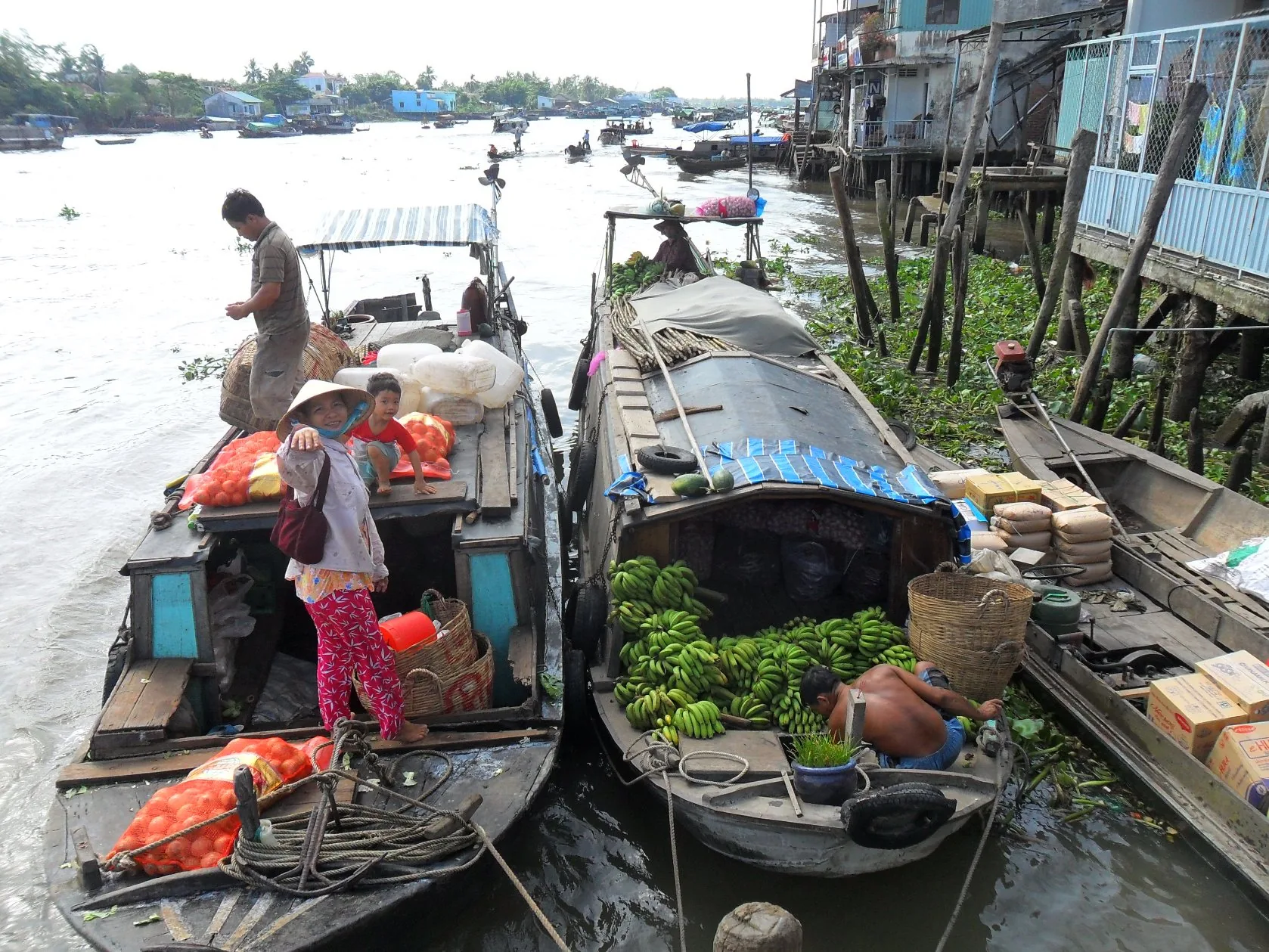Mekong Delta River