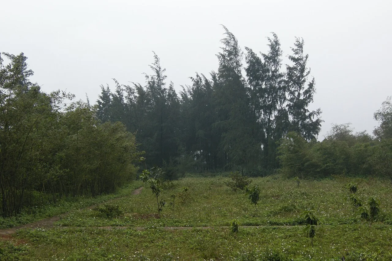 Vinh Moc Tunnels