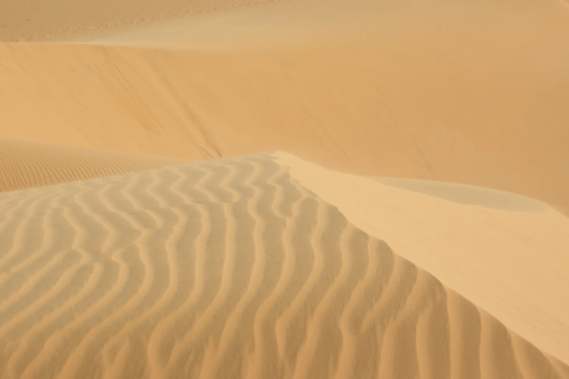 Mui Ne white sand dunes — vast desert-like dunes north of Phan Thiet