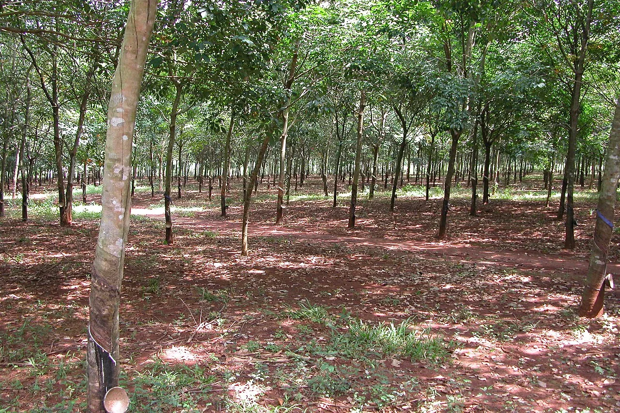 The preserved battlefield of Dien Bien Phu — where the French colonial era ended in 1954
