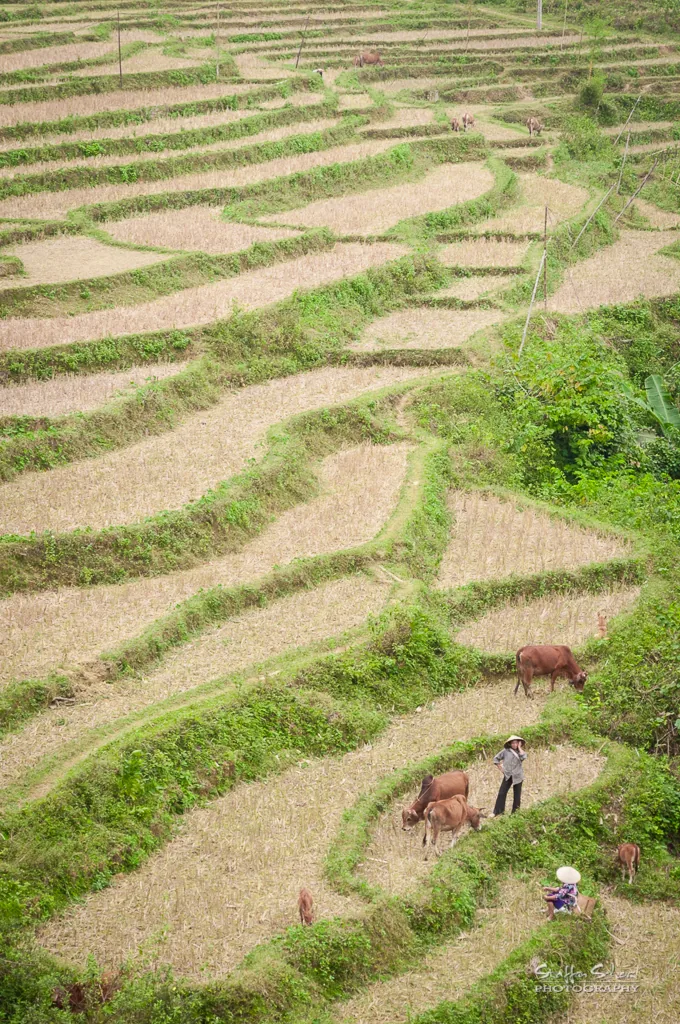 Pu Luong Nature Reserve