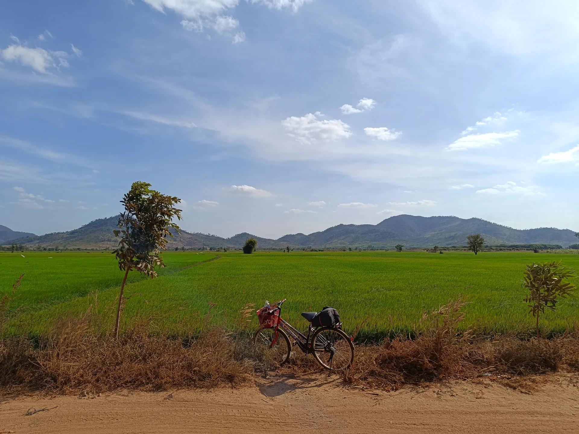 Lẩu — Vietnam's Ultimate Shared Hot Pot
