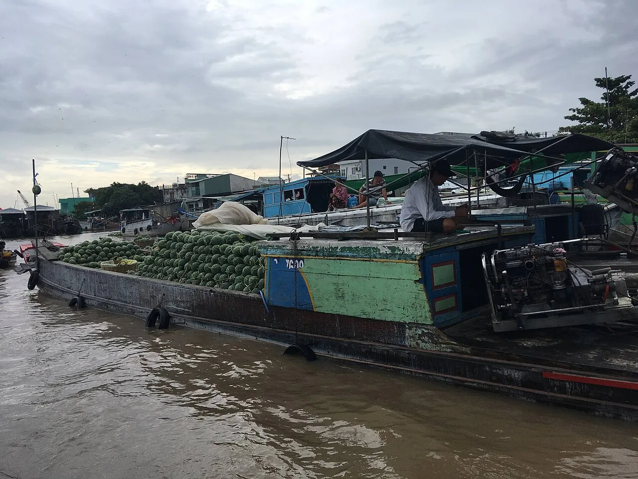 Mekong Delta