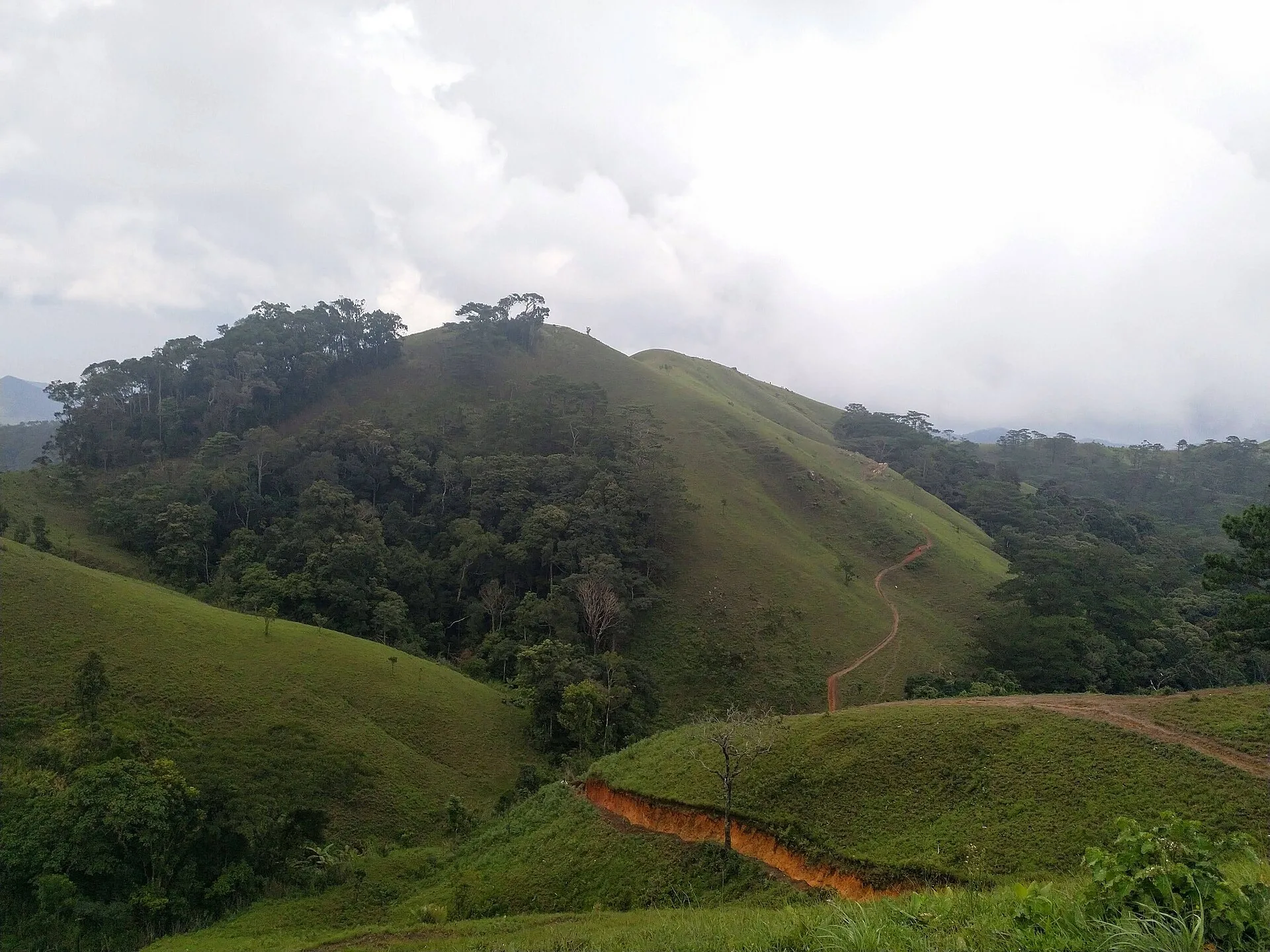 Trekkers winding through the spectacular terraced rice fields of Muong Hoa Valley